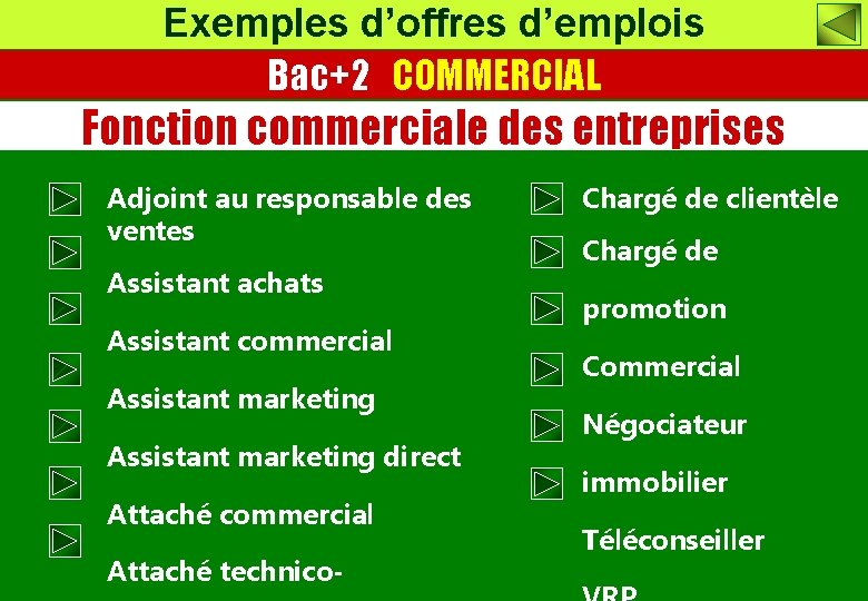 Exemples d’offres d’emplois Bac+2 COMMERCIAL Fonction commerciale des entreprises Adjoint au responsable des ventes