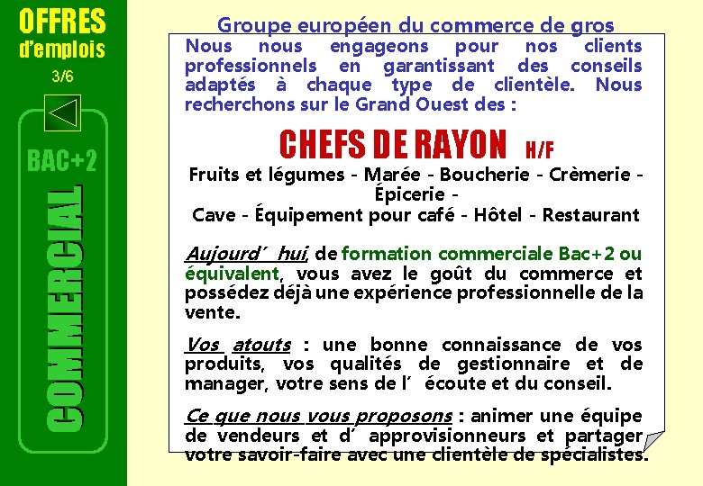 OFFRES d’emplois 3/6 BAC+2 Groupe européen du commerce de gros Nous nous engageons pour OFFRES d’emplois 3/6 BAC+2 Groupe européen du commerce de gros Nous nous engageons pour