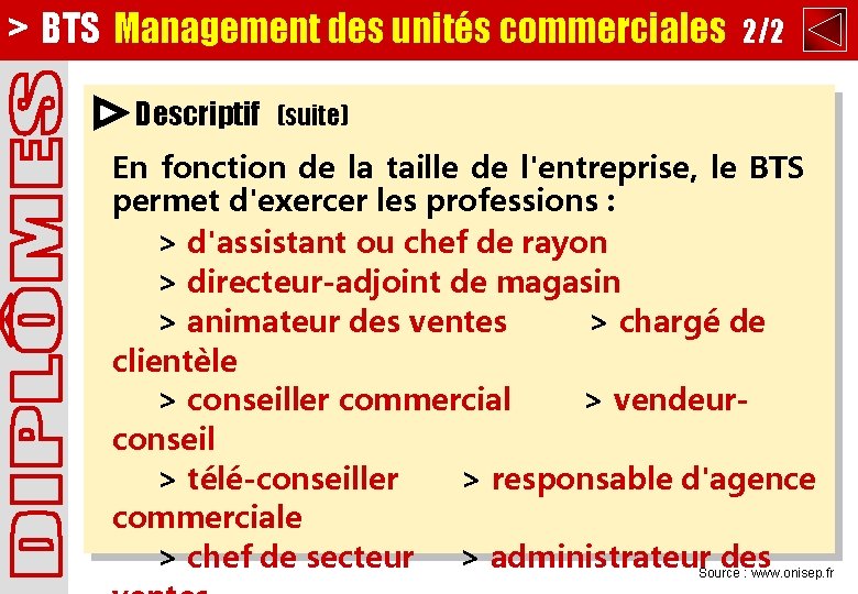 > BTS Management des unités commerciales 2/2 Descriptif (suite) En fonction de la taille