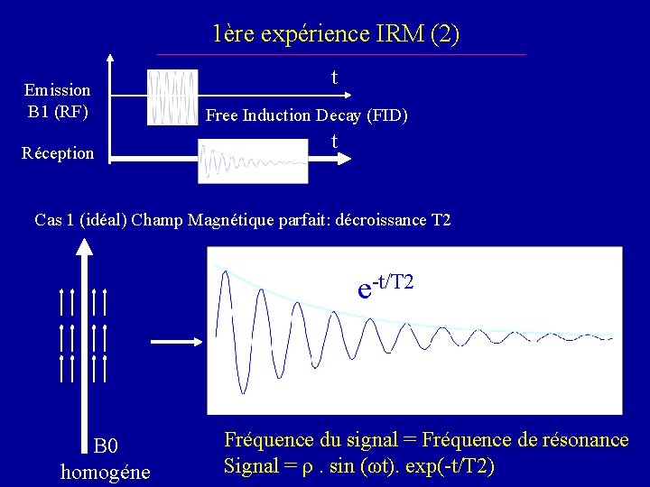 1ère expérience IRM (2) Emission B 1 (RF) Réception t Free Induction Decay (FID)