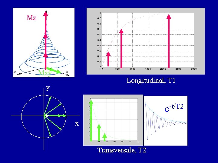 Mz Mxy Longitudinal, T 1 y e-t/T 2 x Transversale, T 2 