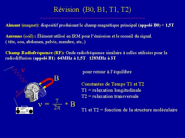 Révision (B 0, B 1, T 2) Aimant (magnet): dispositif produisant le champ magnétique