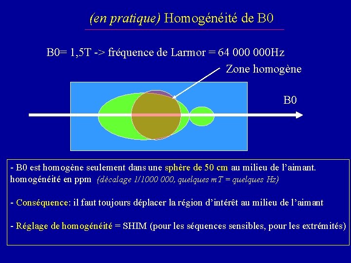 (en pratique) Homogénéité de B 0= 1, 5 T -> fréquence de Larmor =