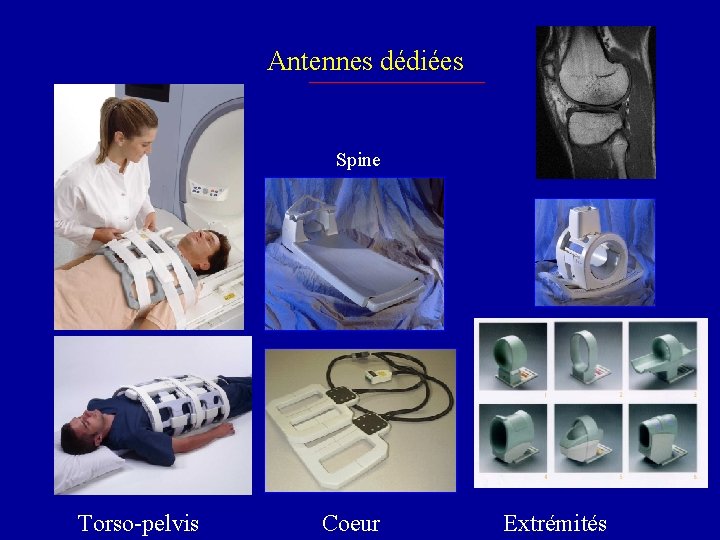 Antennes dédiées Spine Torso-pelvis Coeur Extremities Extrémités 