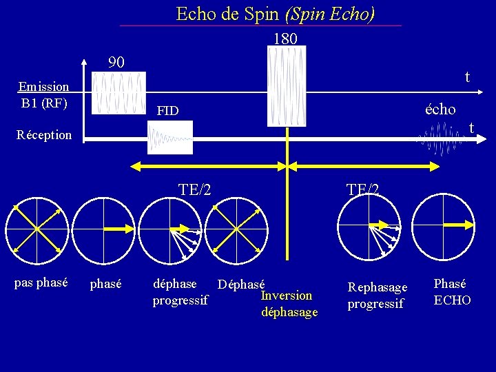 Echo de Spin (Spin Echo) 180 90 Emission B 1 (RF) t écho FID