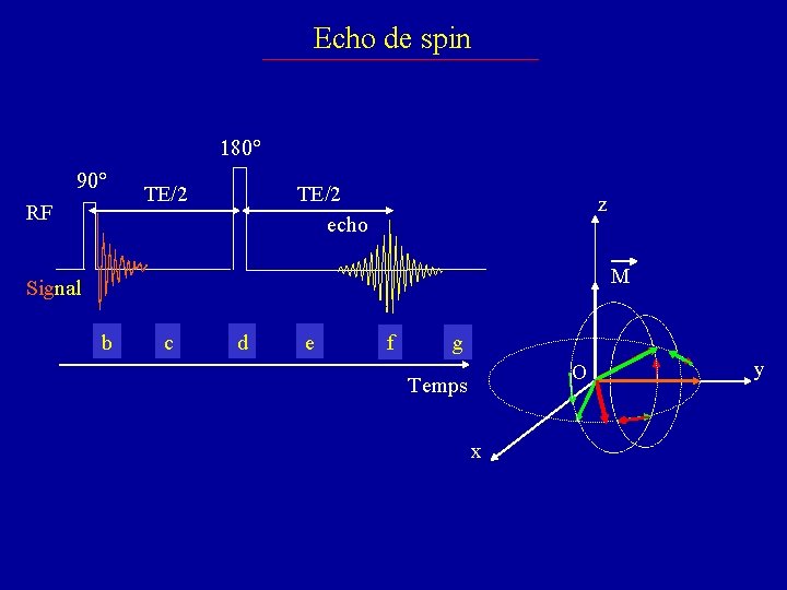 Echo de spin 180° 90° RF TE/2 echo TE/2 z M Signal b c