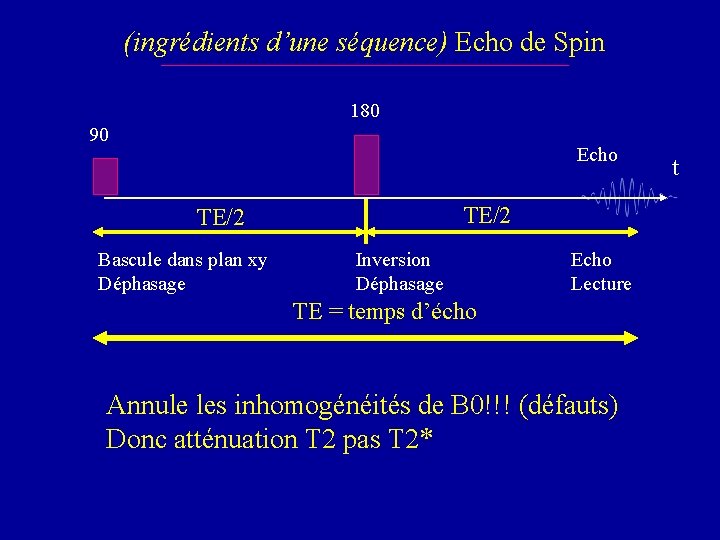 (ingrédients d’une séquence) Echo de Spin 180 90 Echo TE/2 Bascule dans plan xy