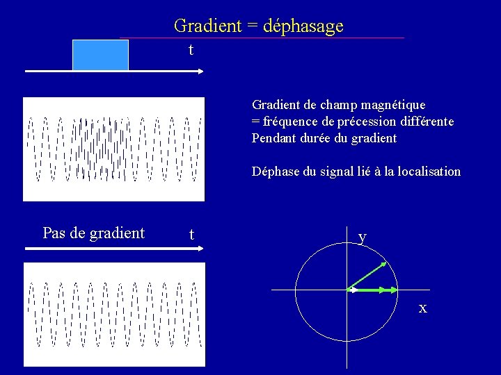Gradient = déphasage t Gradient de champ magnétique = fréquence de précession différente Pendant
