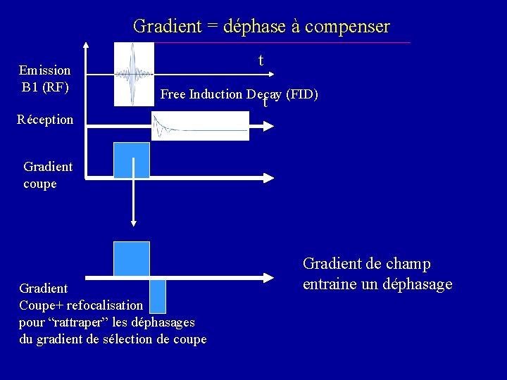 Gradient = déphase à compenser Emission B 1 (RF) t Free Induction Decay (FID)