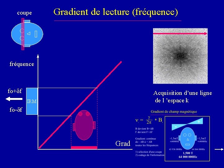 coupe Gradient de lecture (fréquence) fréquence fo+df Acquisition d’une ligne de l ’espace k