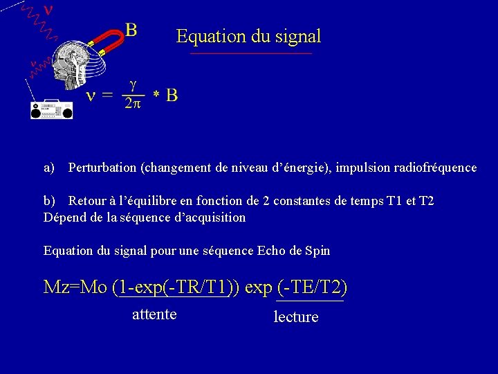 Equation du signal a) Perturbation (changement de niveau d’énergie), impulsion radiofréquence b) Retour à