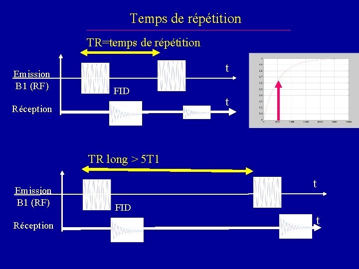 Temps de répétition TR=temps de répétition Emission B 1 (RF) t FID Réception t