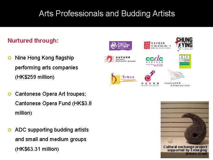 Arts Professionals and Budding Artists Nurtured through: Nine Hong Kong flagship performing arts companies