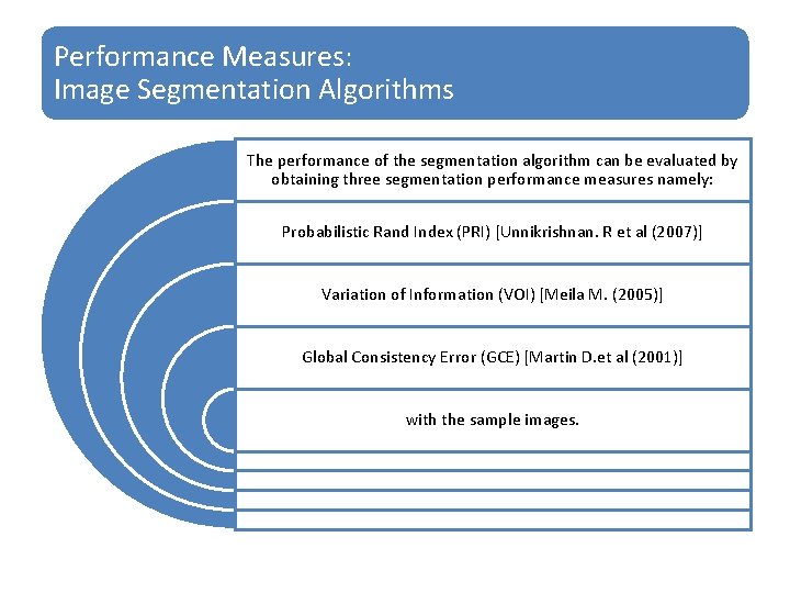 Performance Measures: Image Segmentation Algorithms The performance of the segmentation algorithm can be evaluated