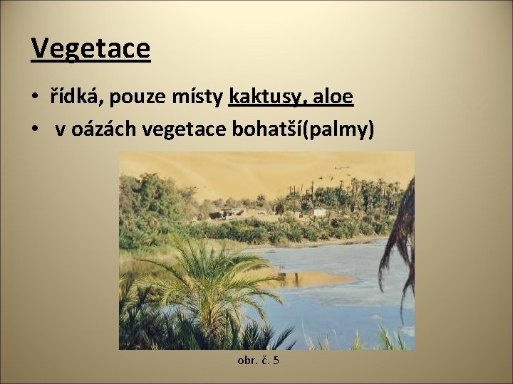 Vegetace • řídká, pouze místy kaktusy, aloe • v oázách vegetace bohatší(palmy) obr. č.