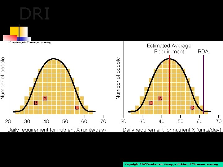 DRI 15 Copyright 2005 Wadsworth Group, a division of Thomson Learning 