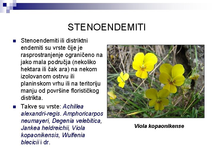 STENOENDEMITI n n Stenoendemiti ili distriktni endemiti su vrste čije je rasprostranjenje ograničeno na