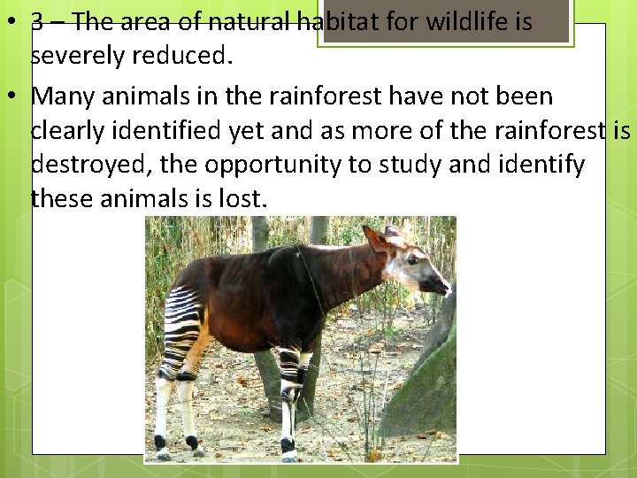  • 3 – The area of natural habitat for wildlife is severely reduced.