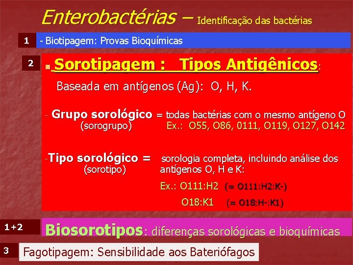 Enterobactérias – Identificação das bactérias 1 2 - Biotipagem: Provas Bioquímicas n Sorotipagem :