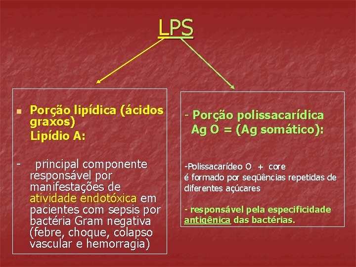 LPS n - Porção lipídica (ácidos graxos) Lipídio A: principal componente responsável por manifestações