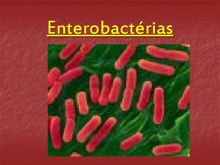 Enterobactérias 