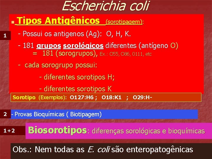 Escherichia coli n Tipos Antigênicos (sorotipagem): - Possui os antigenos (Ag): O, H, K.