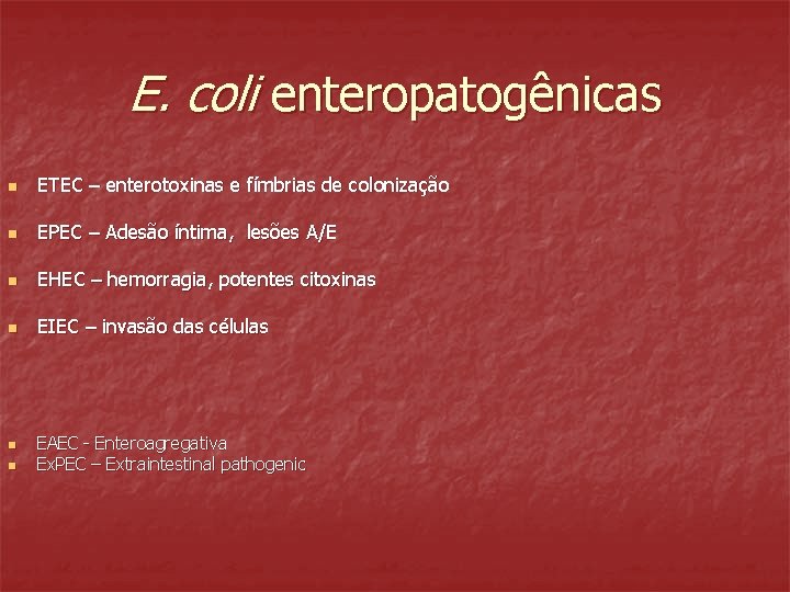 E. coli enteropatogênicas n ETEC – enterotoxinas e fímbrias de colonização n EPEC –