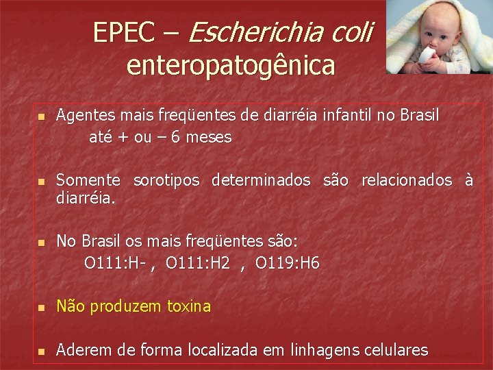 EPEC – Escherichia coli enteropatogênica n n n Agentes mais freqüentes de diarréia infantil