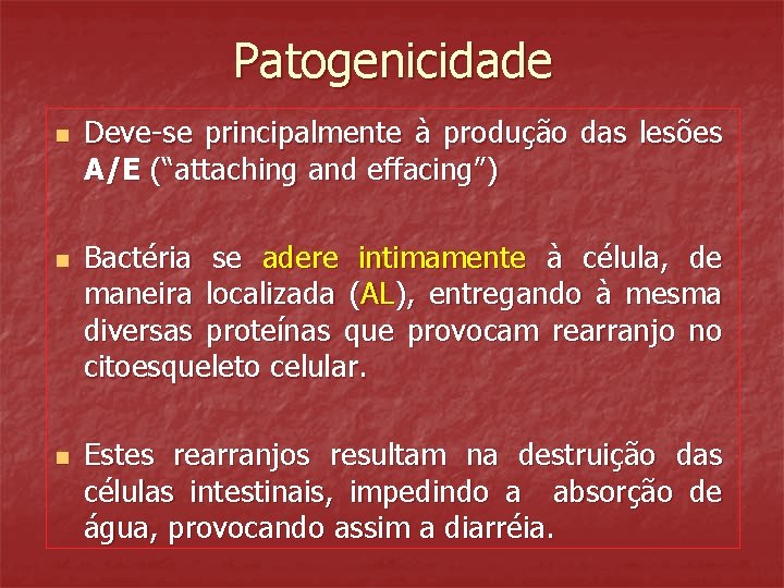 Patogenicidade n n n Deve-se principalmente à produção das lesões A/E (“attaching and effacing”)