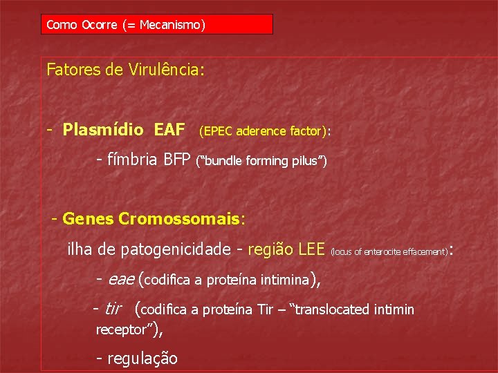 Como Ocorre (= Mecanismo) Fatores de Virulência: - Plasmídio EAF - fímbria BFP (EPEC