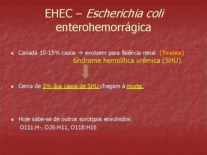 EHEC – Escherichia coli enterohemorrágica n Canadá 10 -15% casos evoluem para falência renal