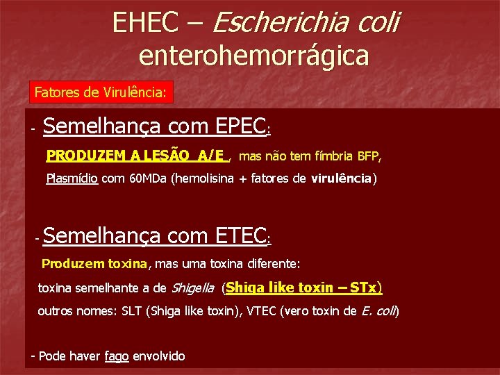 EHEC – Escherichia coli enterohemorrágica Fatores de Virulência: Semelhança com EPEC: - PRODUZEM A