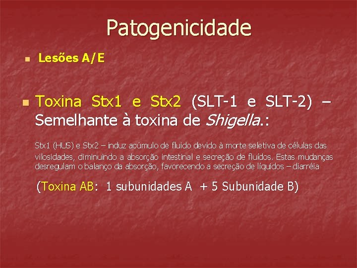 Patogenicidade n n Lesões A/E Toxina Stx 1 e Stx 2 (SLT-1 e SLT-2)