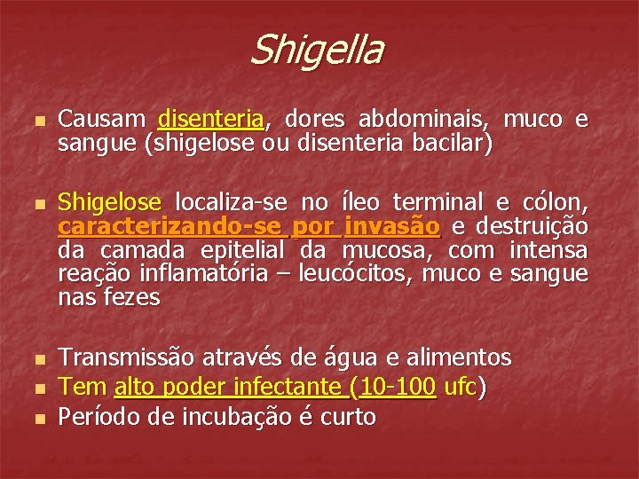 Shigella n n n Causam disenteria, dores abdominais, muco e sangue (shigelose ou disenteria