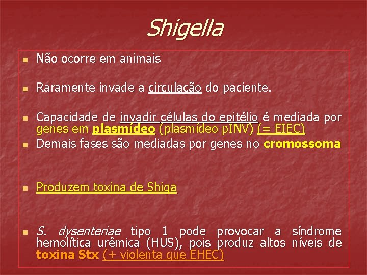 Shigella n Não ocorre em animais n Raramente invade a circulação do paciente. n