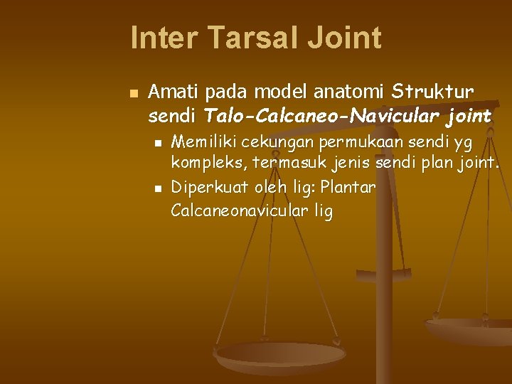 Inter Tarsal Joint n Amati pada model anatomi Struktur sendi Talo-Calcaneo-Navicular joint n n