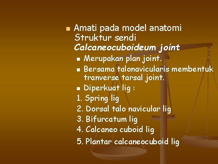 n Amati pada model anatomi Struktur sendi Calcaneocuboideum joint Merupakan plan joint. n Bersama