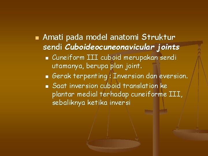 n Amati pada model anatomi Struktur sendi Cuboideocuneonavicular joints n n n Cuneiform III