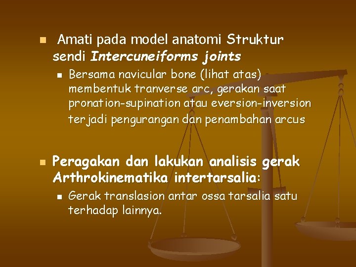 n Amati pada model anatomi Struktur sendi Intercuneiforms joints n n Bersama navicular bone