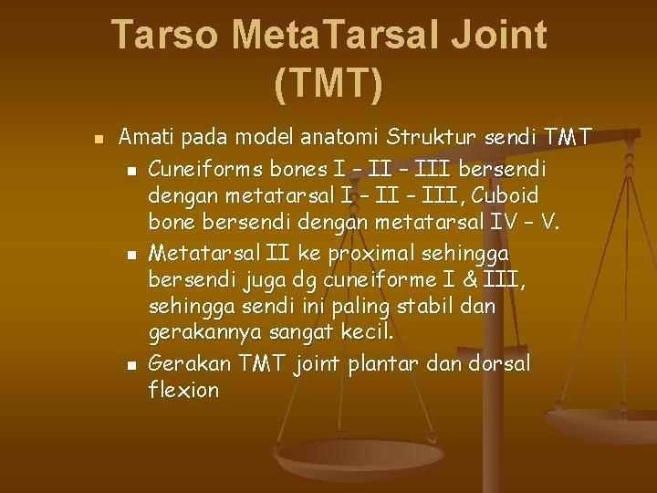 Tarso Meta. Tarsal Joint (TMT) n Amati pada model anatomi Struktur sendi TMT n