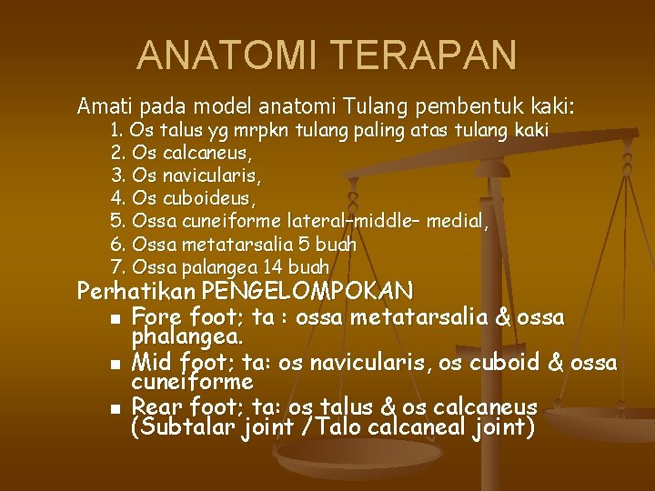 ANATOMI TERAPAN Amati pada model anatomi Tulang pembentuk kaki: 1. Os talus yg mrpkn