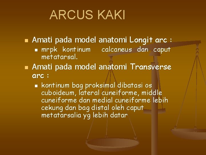 ARCUS KAKI n Amati pada model anatomi Longit arc : n n mrpk kontinum