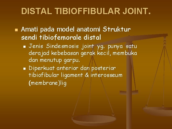 DISTAL TIBIOFFIBULAR JOINT. n Amati pada model anatomi Struktur sendi tibiofemorale distal n n