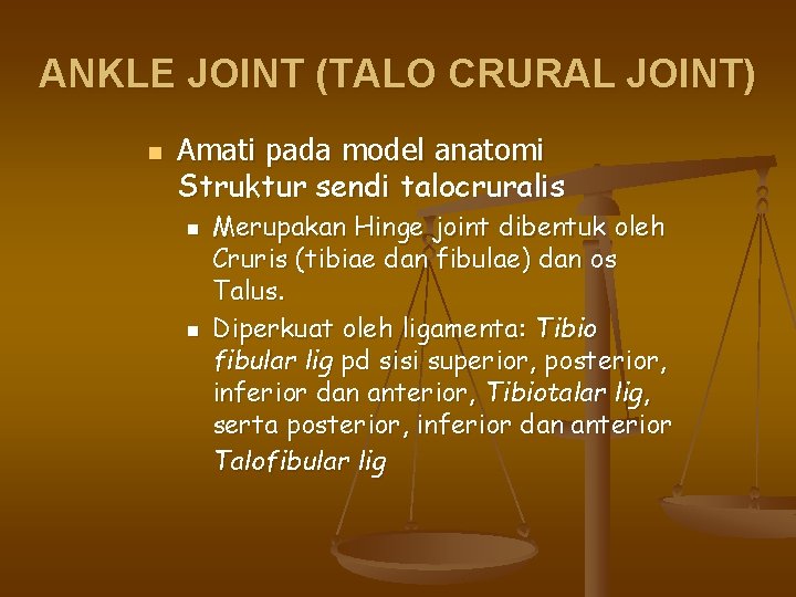 ANKLE JOINT (TALO CRURAL JOINT) n Amati pada model anatomi Struktur sendi talocruralis n
