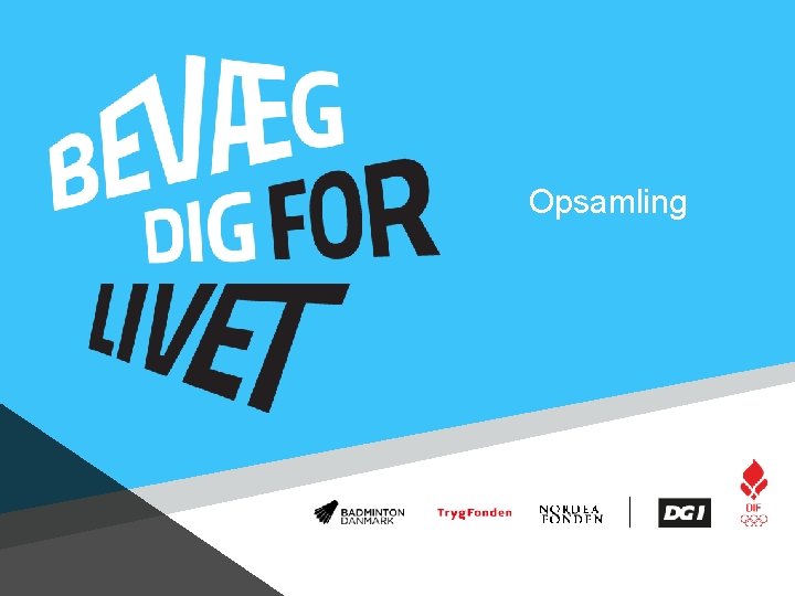 Opsamling 
