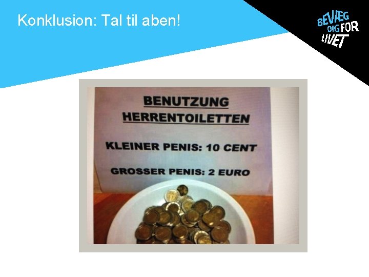 Konklusion: Tal til aben! . 