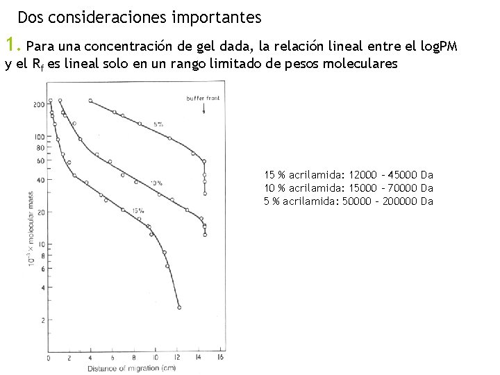 Dos consideraciones importantes 1. Para una concentración de gel dada, la relación lineal entre