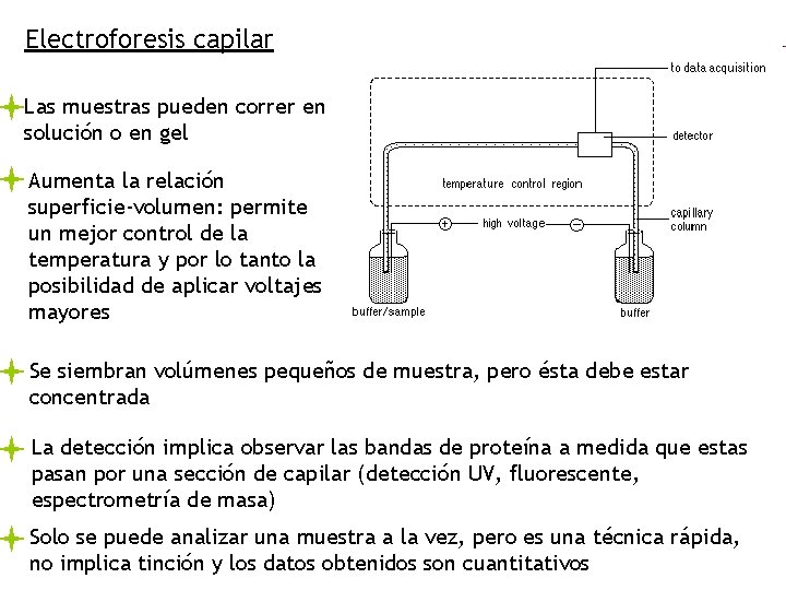 Electroforesis capilar Las muestras pueden correr en solución o en gel Aumenta la relación