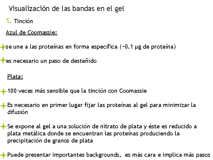 Visualización de las bandas en el gel 1. Tinción Azul de Coomassie: se une