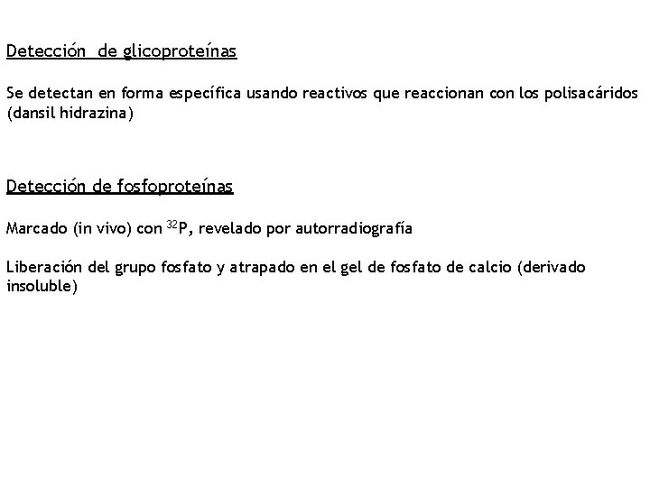 Detección de glicoproteínas Se detectan en forma específica usando reactivos que reaccionan con los